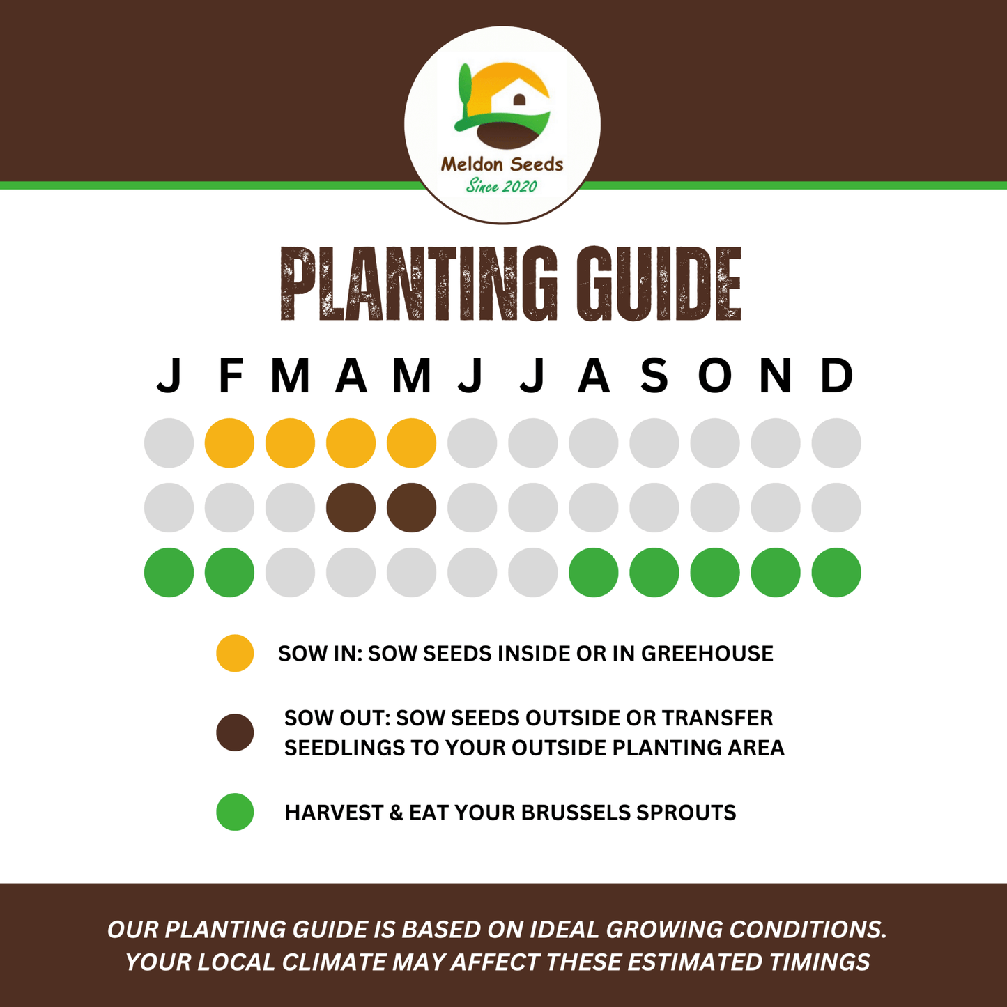 Brussels Sprout Evesham Special 450 Seeds - Chartley Chucks