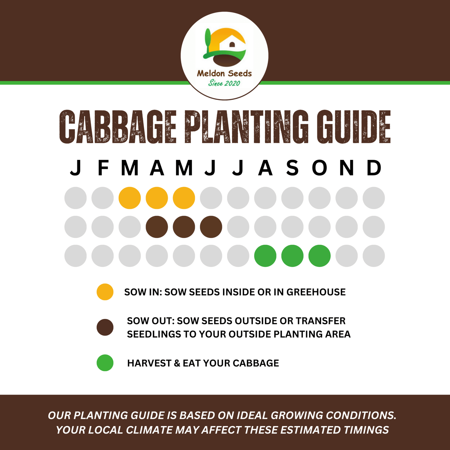 Cabbage Red Drumhead 500 Seeds - Chartley Chucks