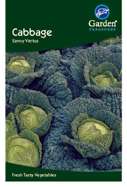Cabbage Savoy Vertus - Chartley Chucks