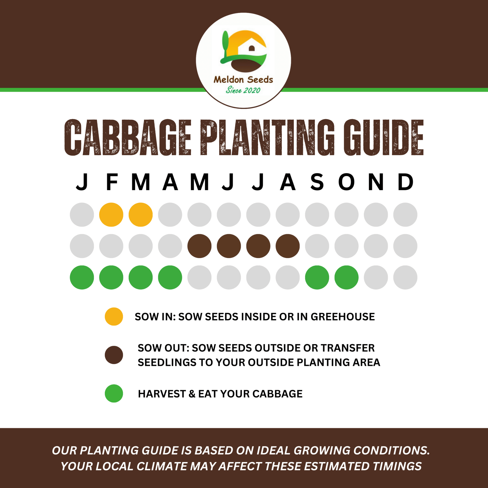 Cabbage Wheelers Imperial 500 Seeds - Chartley Chucks