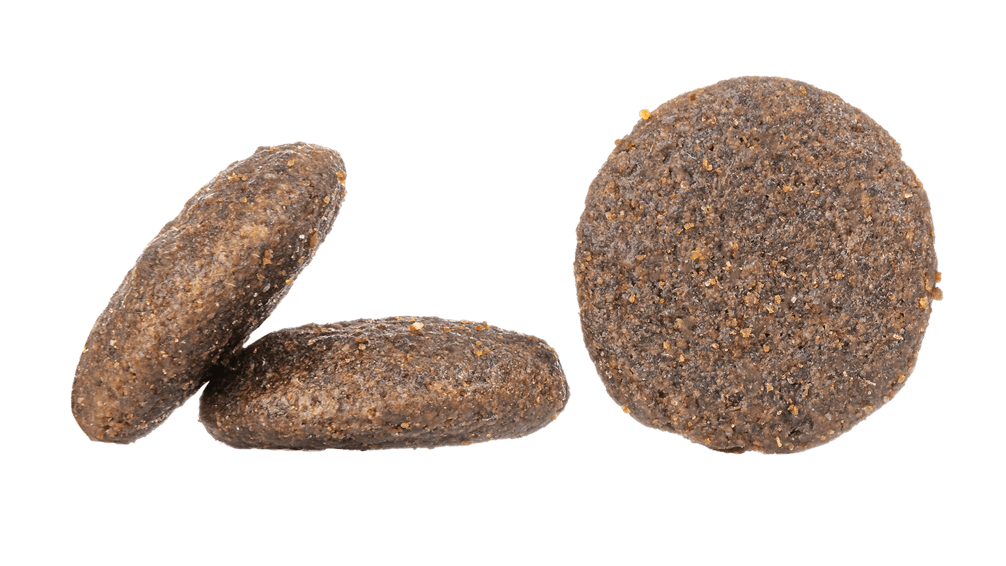 Canada - Chartley Chucks