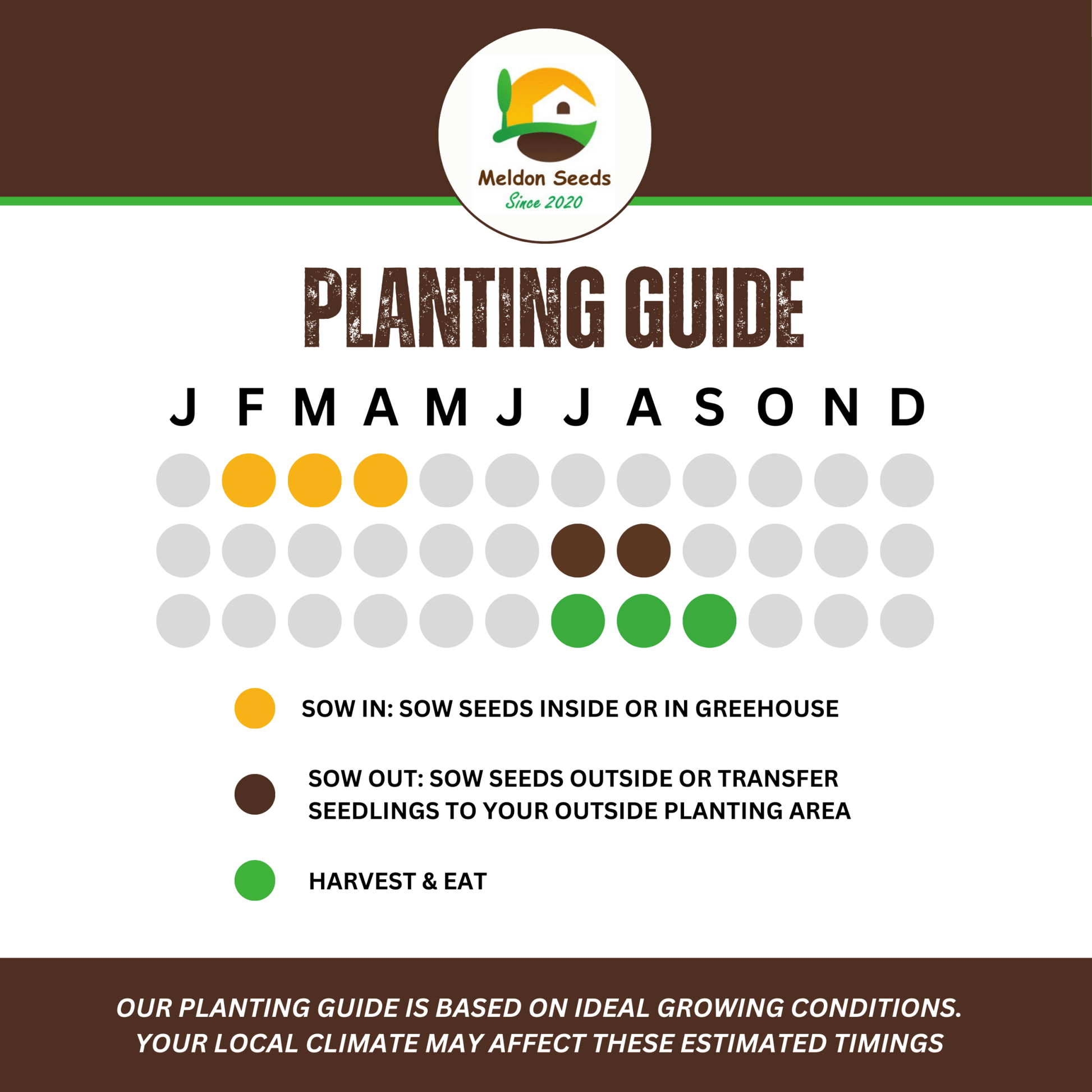 Cape Gooseberry Seeds Golden Berry Physalis - 150 Fresh Oriental Vegetable Seeds - Chartley Chucks