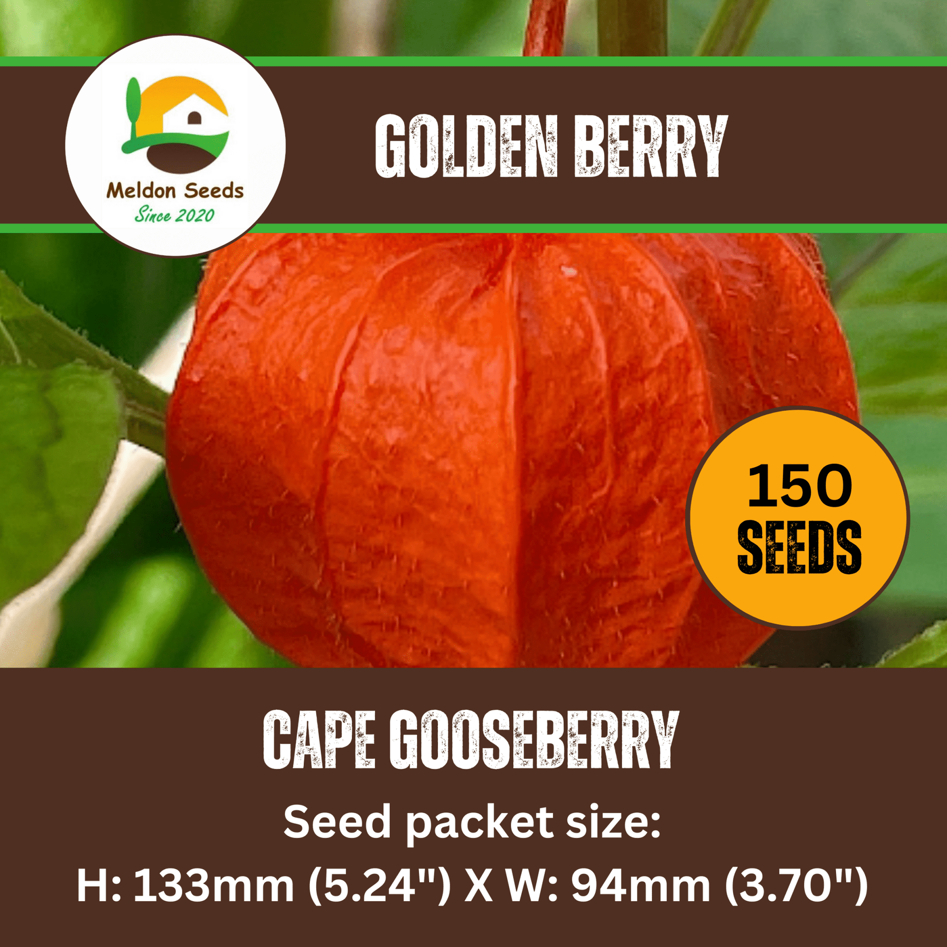 Cape Gooseberry Seeds Golden Berry Physalis - 150 Fresh Oriental Vegetable Seeds - Chartley Chucks