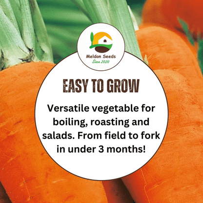 Carrot Chantenay Red Cored 1000 Seeds - Chartley Chucks