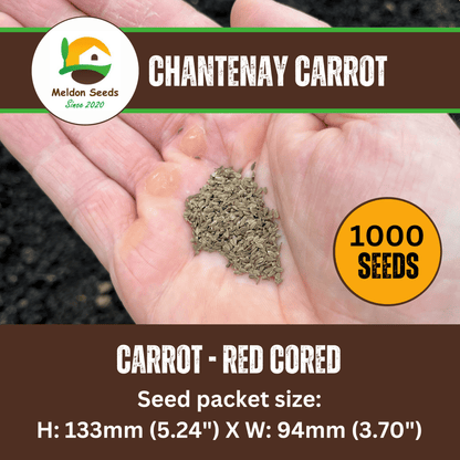 Carrot Chantenay Red Cored 1000 Seeds - Chartley Chucks