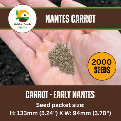 Carrot Early Nantes 1000 Seeds - Chartley Chucks