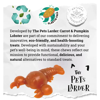 Carrot & Pumpkin Lobster Chew For Dogs - Chartley Chucks