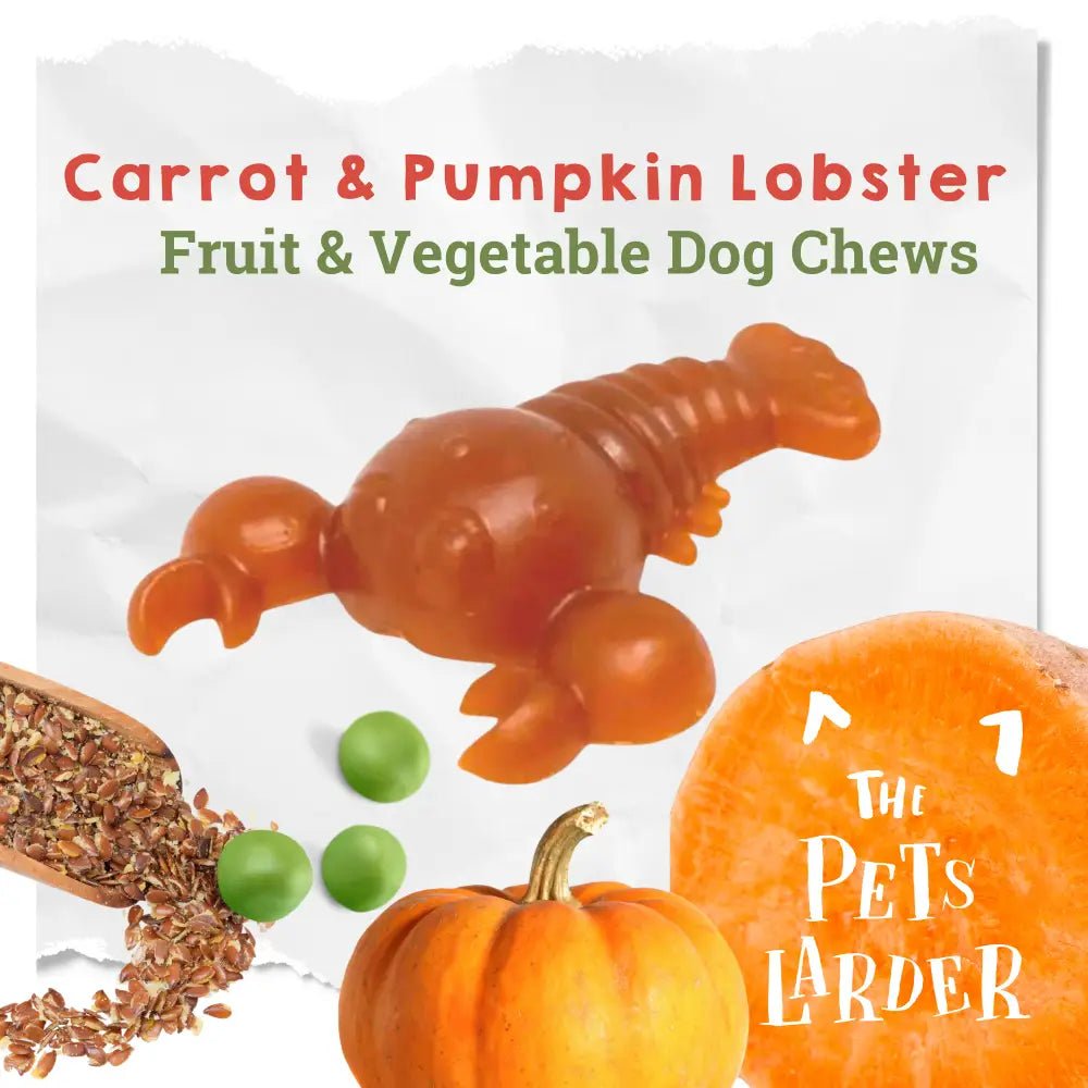 Carrot & Pumpkin Lobster Chew For Dogs - Chartley Chucks