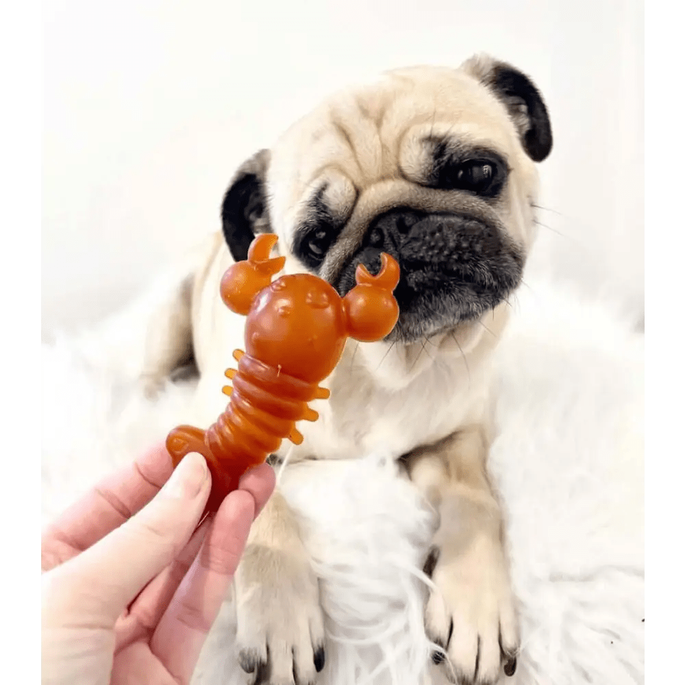 Carrot & Pumpkin Lobster Chew For Dogs - Chartley Chucks