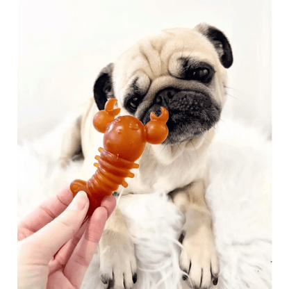 Carrot & Pumpkin Lobster Chew For Dogs - Chartley Chucks