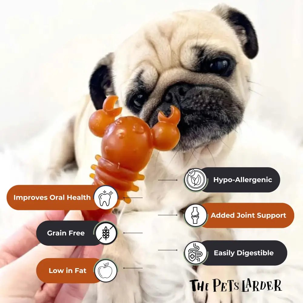 Carrot & Pumpkin Lobster Chew For Dogs - Chartley Chucks