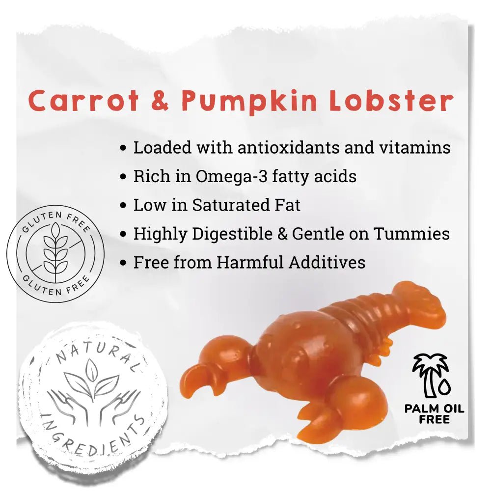 Carrot & Pumpkin Lobster Chew For Dogs - Chartley Chucks