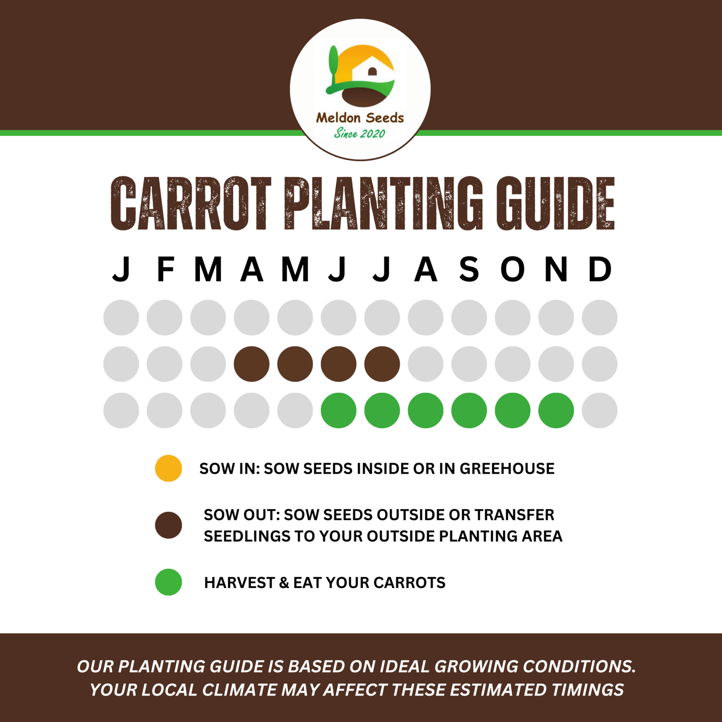 Carrot Purple Sun F1 275 Seeds - Chartley Chucks