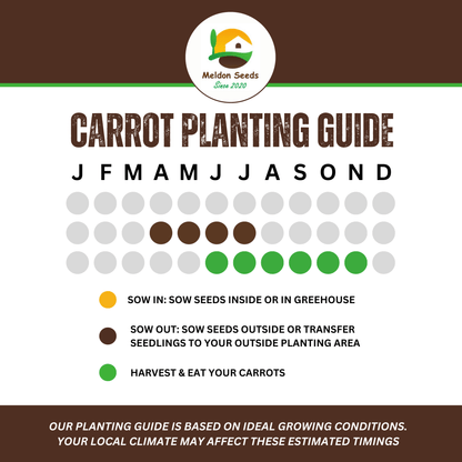 Carrot Purple Sun F1 275 Seeds - Chartley Chucks