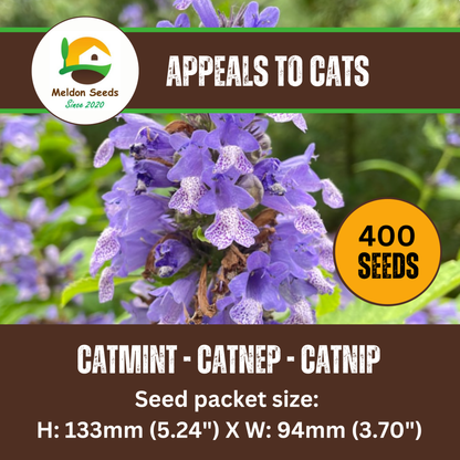 Catmint Catnep Seeds - 400 Seeds - True Catnip Nepeta Cataria Herb Cats Love It - Chartley Chucks