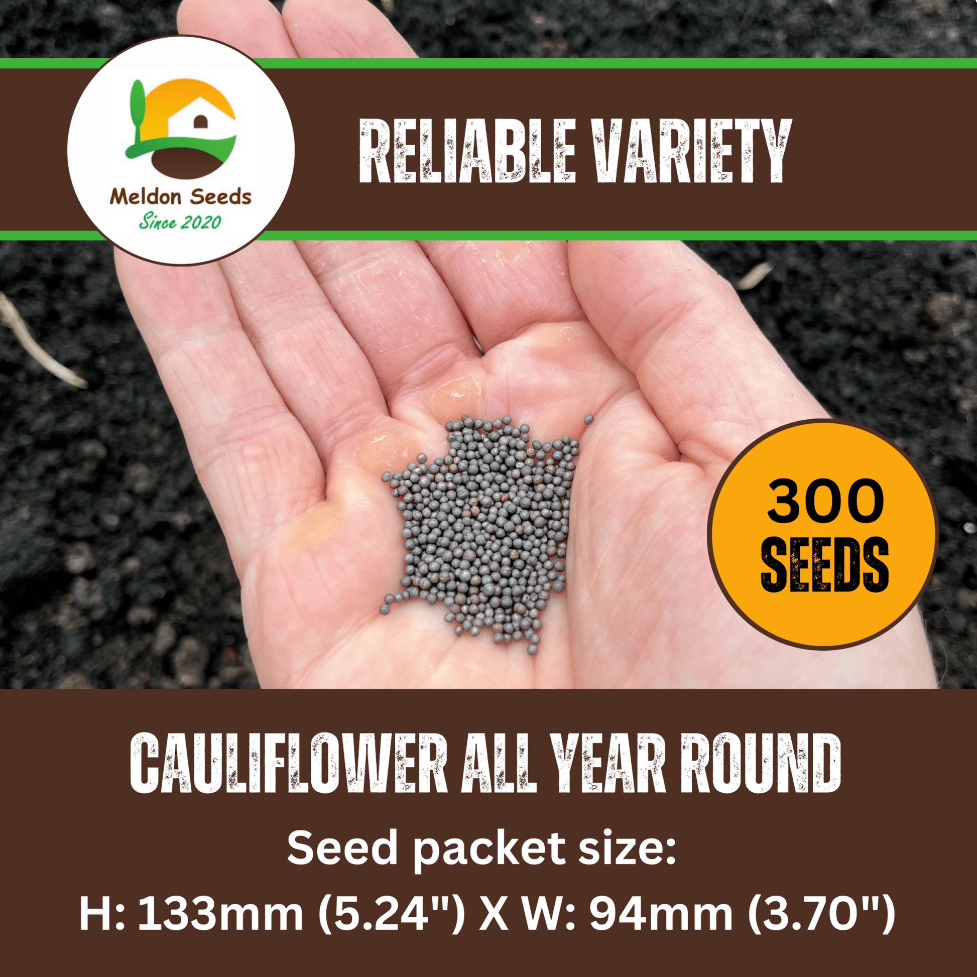 Cauliflower All Year Round 300 Seeds - Chartley Chucks