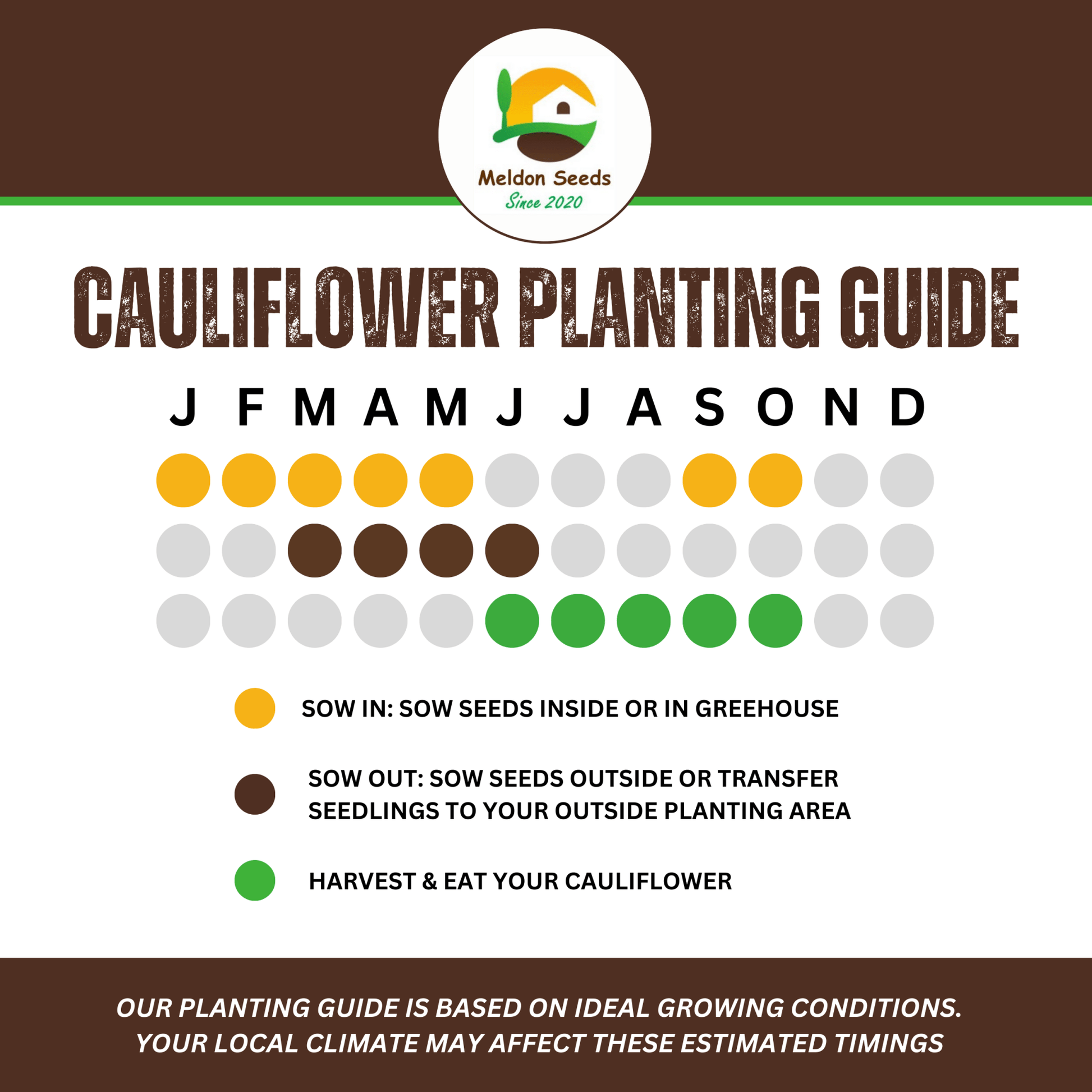 Cauliflower All Year Round 300 Seeds - Chartley Chucks
