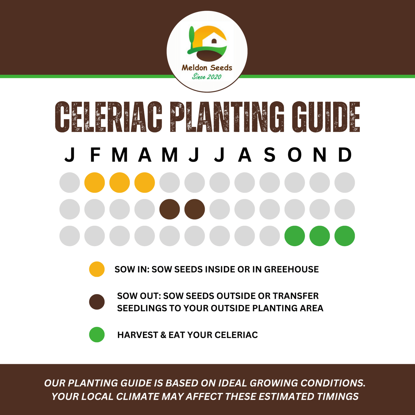 Celeriac Giant Prague 500 Seeds - Chartley Chucks