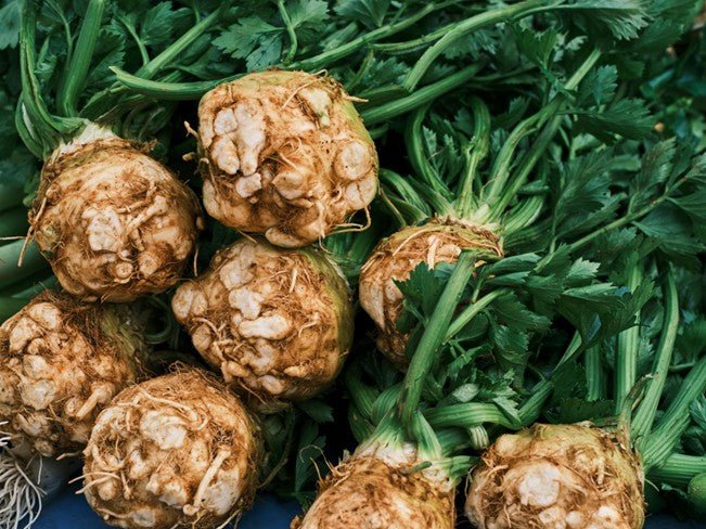 Celeriac Plug Plants "Grow Your Own" Salads **Letterbox Friendly** - Chartley Chucks