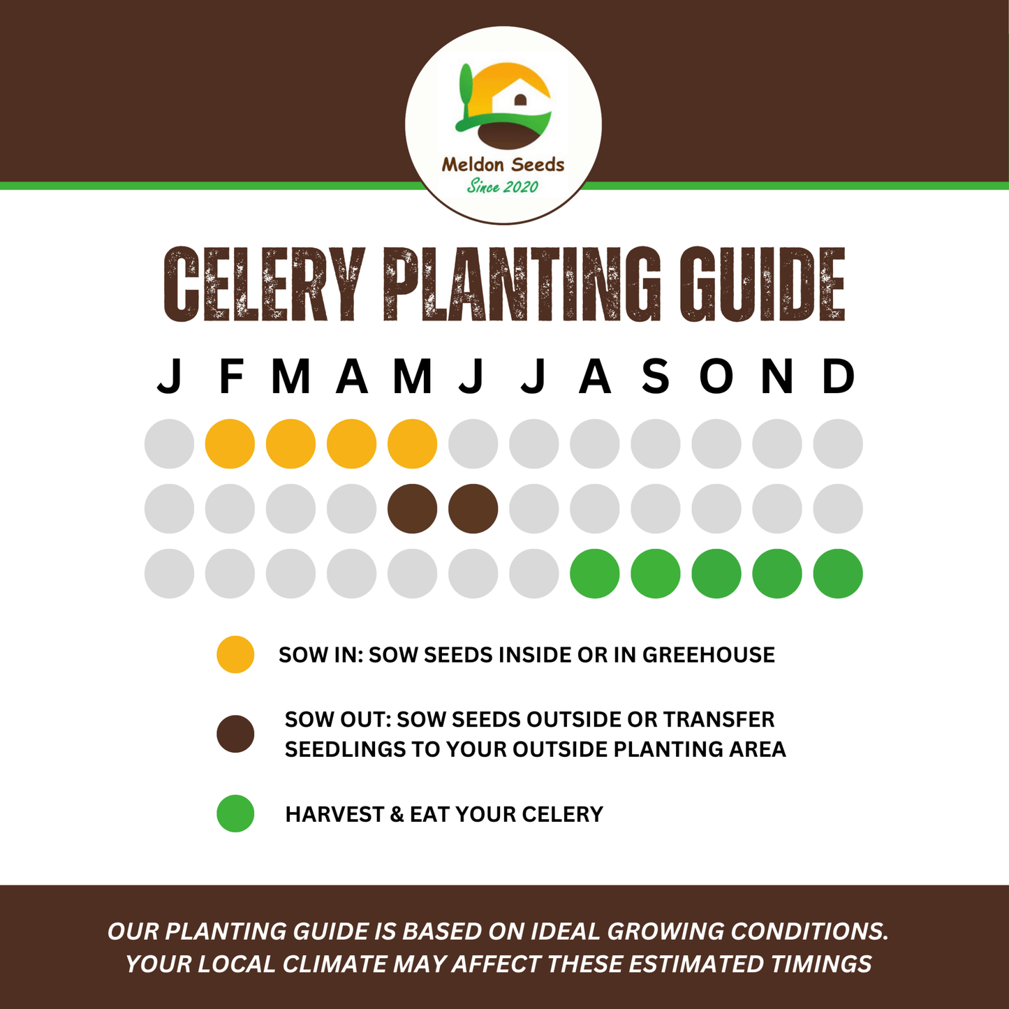 Celery Seeds Red Giant 200 Fresh Celery Seeds for Planting and Growing UK - Chartley Chucks