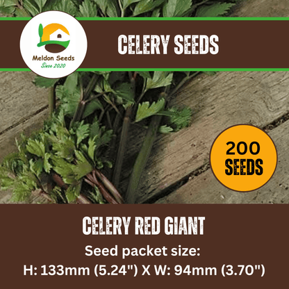 Celery Seeds Red Giant 200 Fresh Celery Seeds for Planting and Growing UK - Chartley Chucks