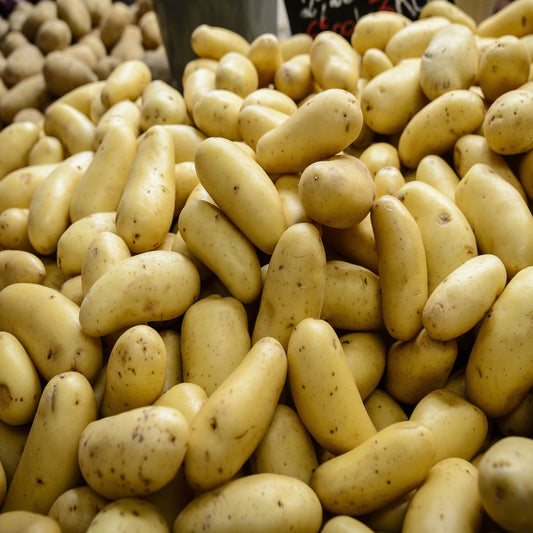 Charlotte Seed Potatoes 2KG - Chartley Chucks