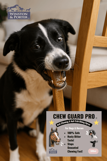 Chew Guard PRO ® - Chartley Chucks