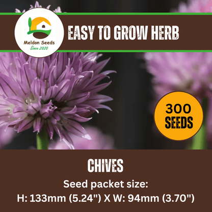 Chives 300 Seeds - Chartley Chucks