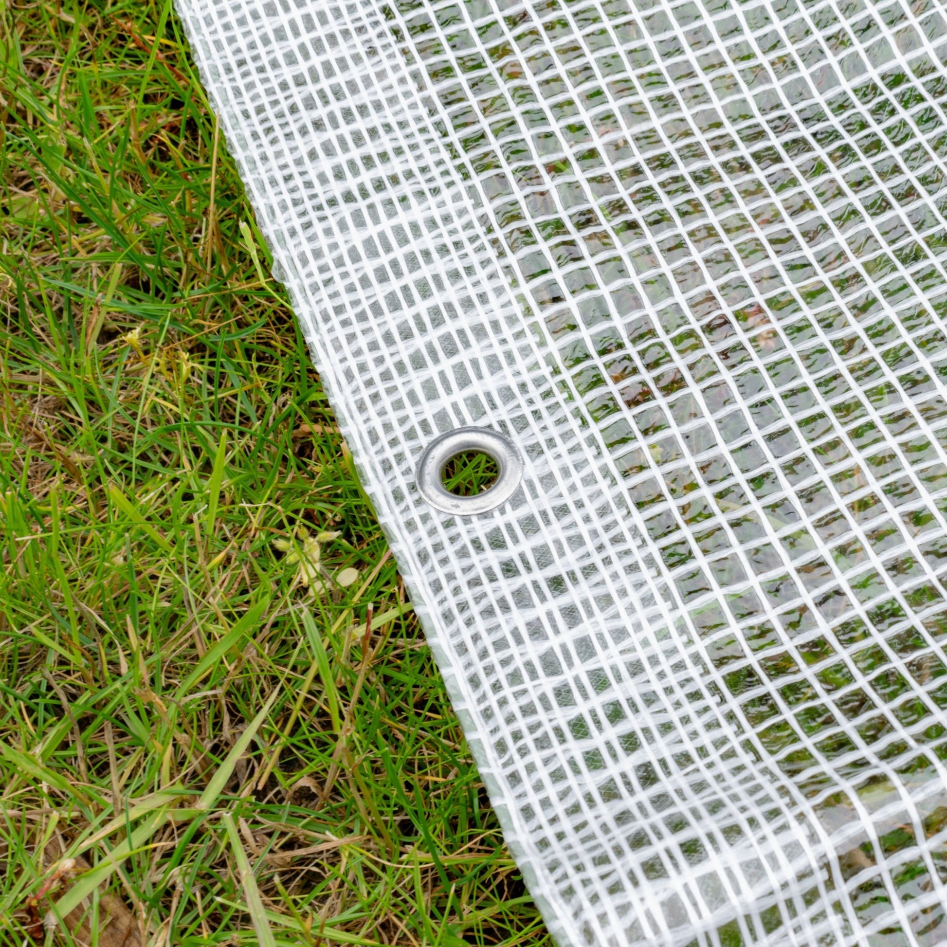 Clear XL - Grade Tarpaulin 2m x 2m - Chartley Chucks