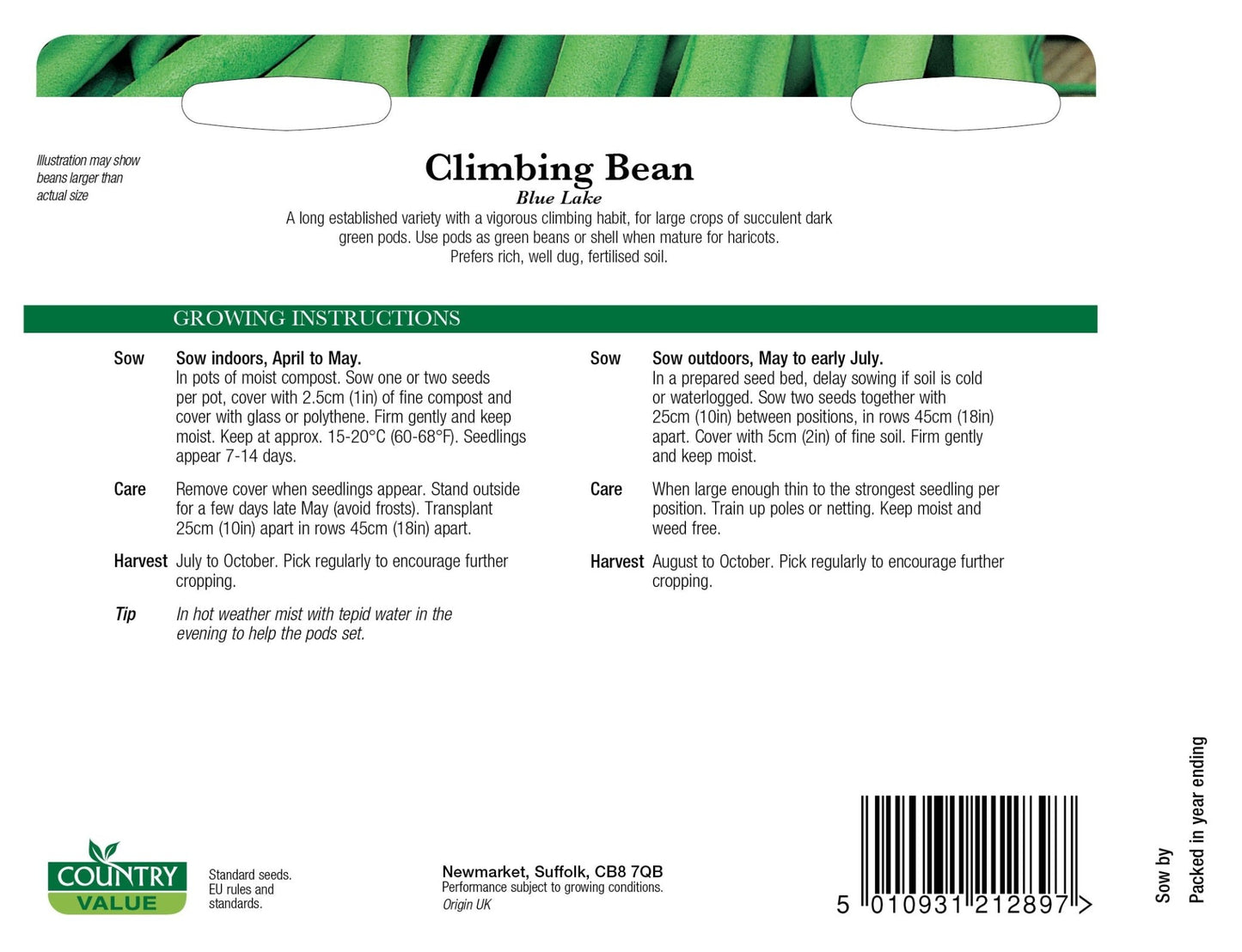 Climbing French Bean Blue Lake 50 Seeds - Chartley Chucks