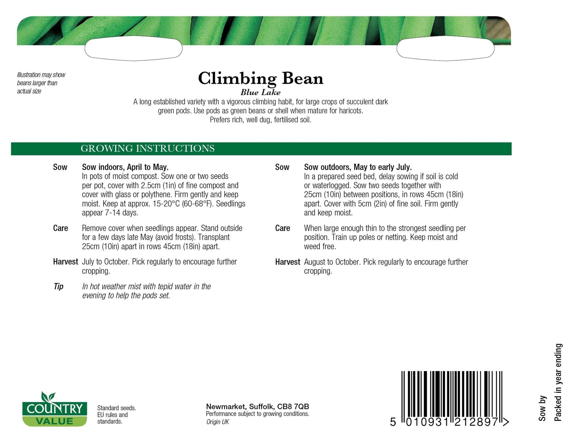 Climbing French Bean Blue Lake 50 Seeds - Chartley Chucks