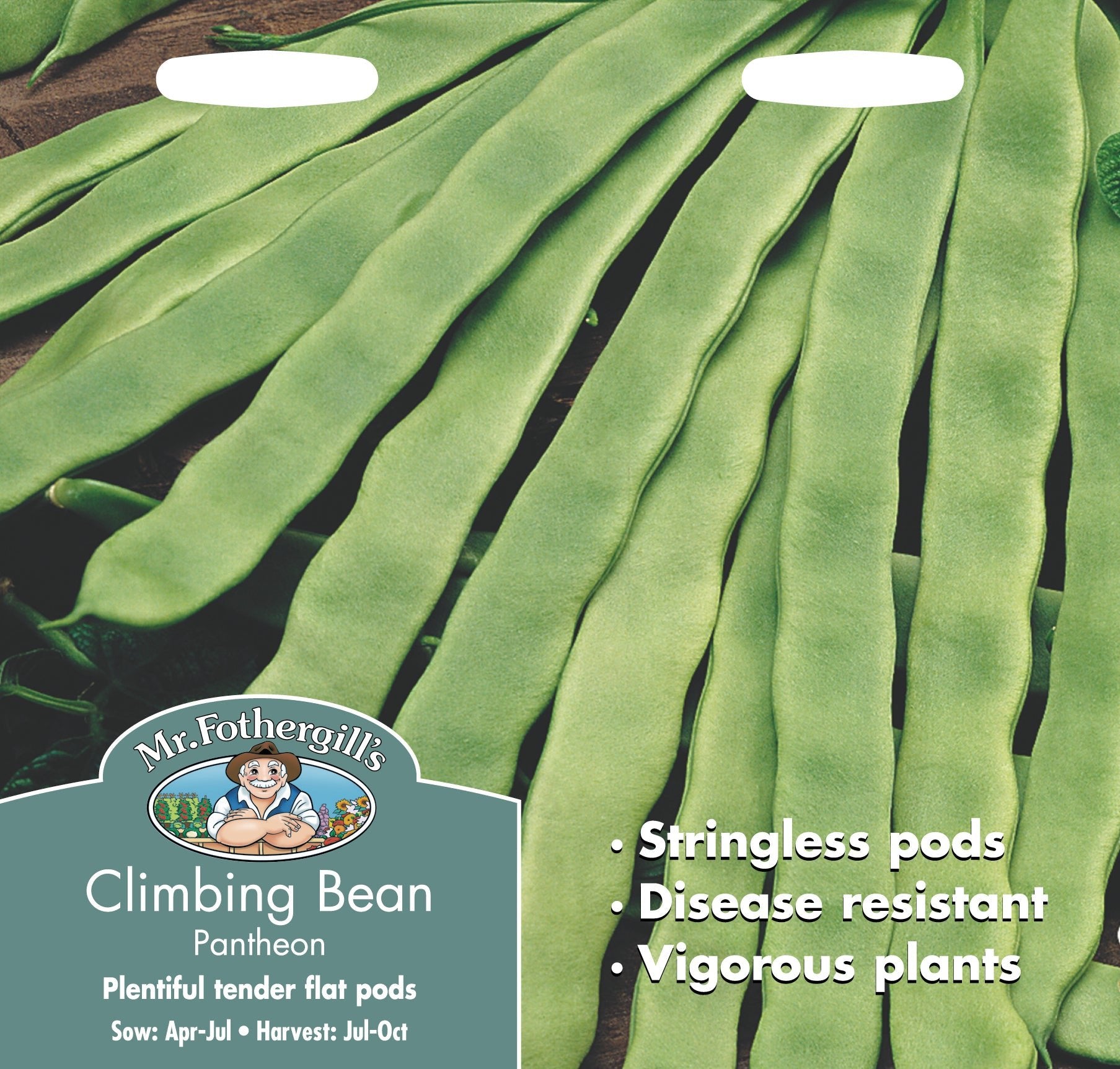 Climbing French Bean Pantheon 50 Seeds - Chartley Chucks