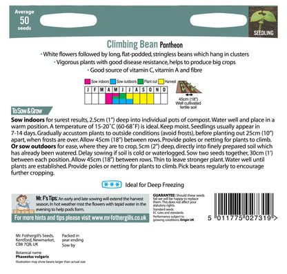 Climbing French Bean Pantheon 50 Seeds - Chartley Chucks