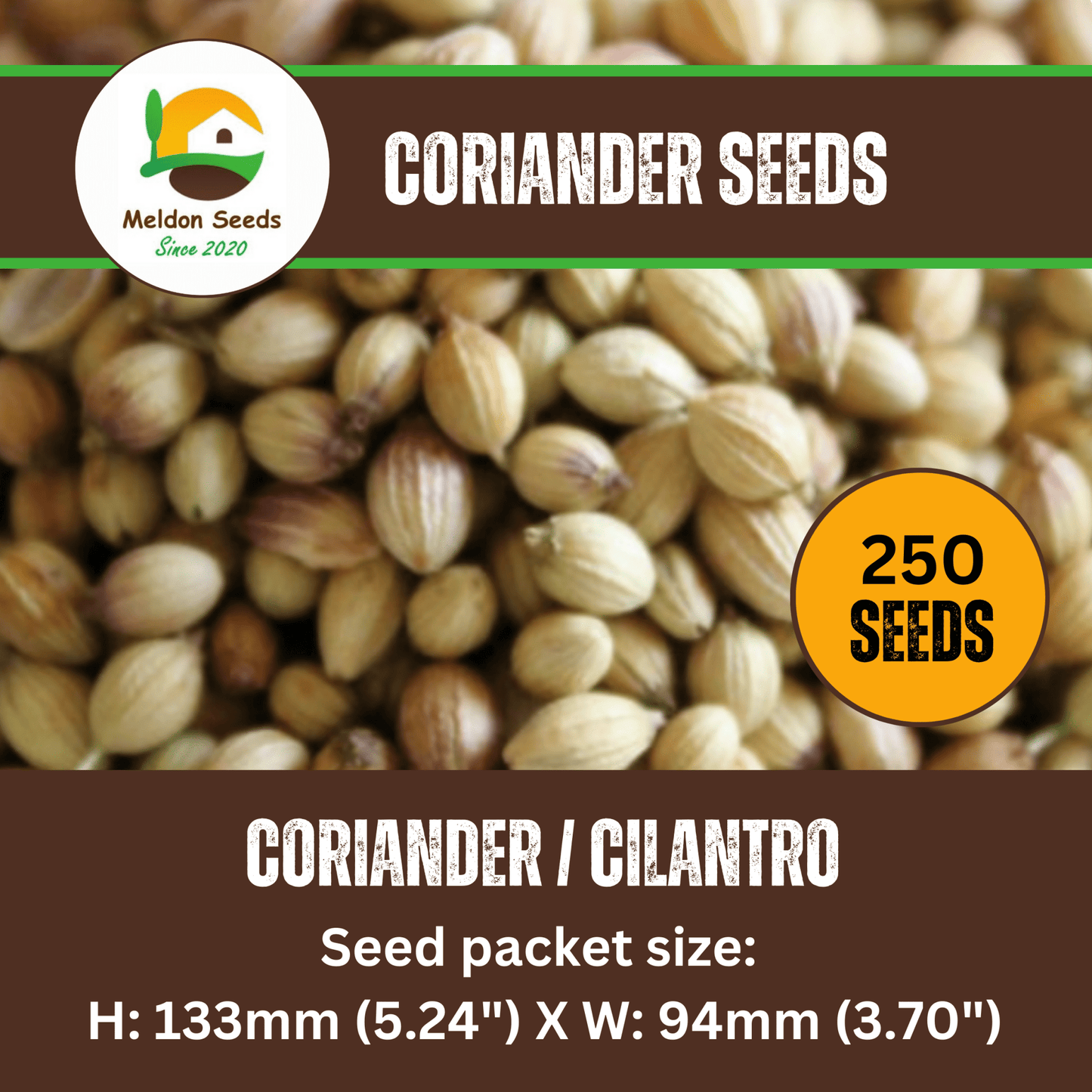 Coriander/Cilantro 250 Seeds - Chartley Chucks