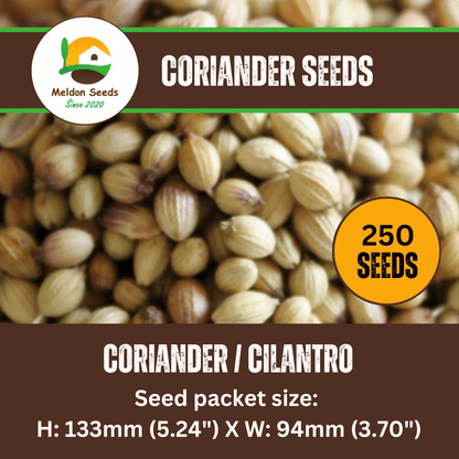 Coriander/Cilantro 250 Seeds - Chartley Chucks