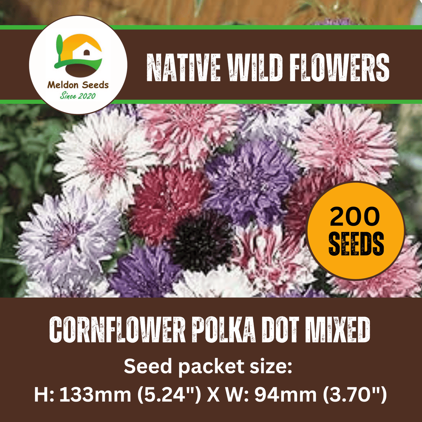 Cornflower Polka Dot Mix Seeds - 200 Native UK Wild Flower Seeds for Attracting Birds, Bees, Wildlife, Pollinators, Suitable for Growing Outdoors in Meadows, Fields and Gardens by Meldon Seeds - Chartley Chucks