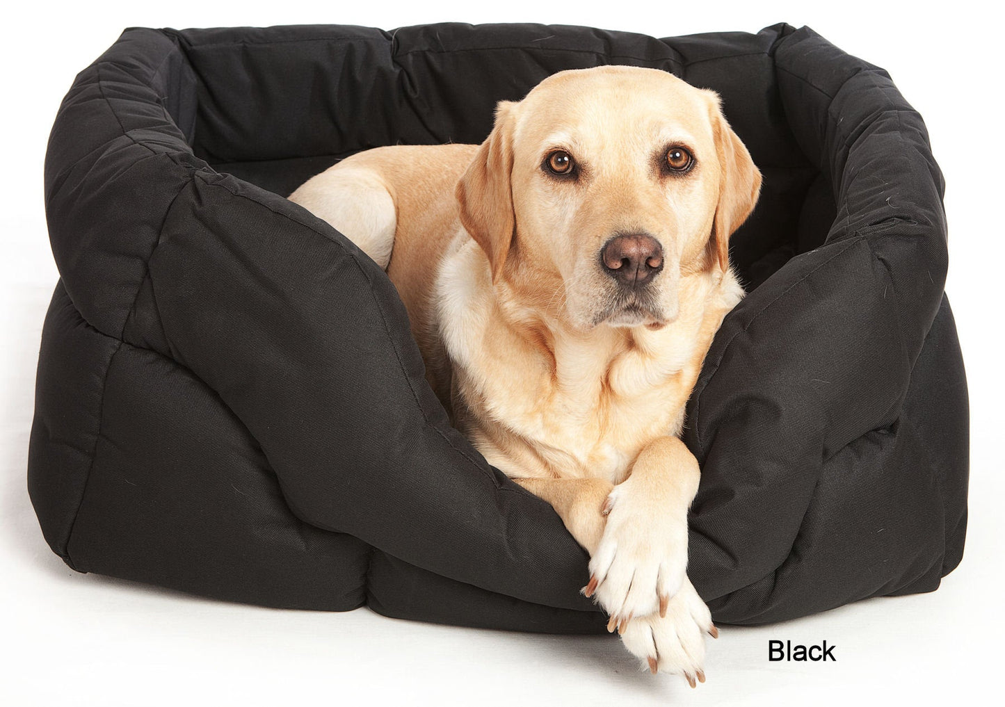 Country Dog Heavy Duty Rectangular High Sided Waterproof Dog Beds - Chartley Chucks