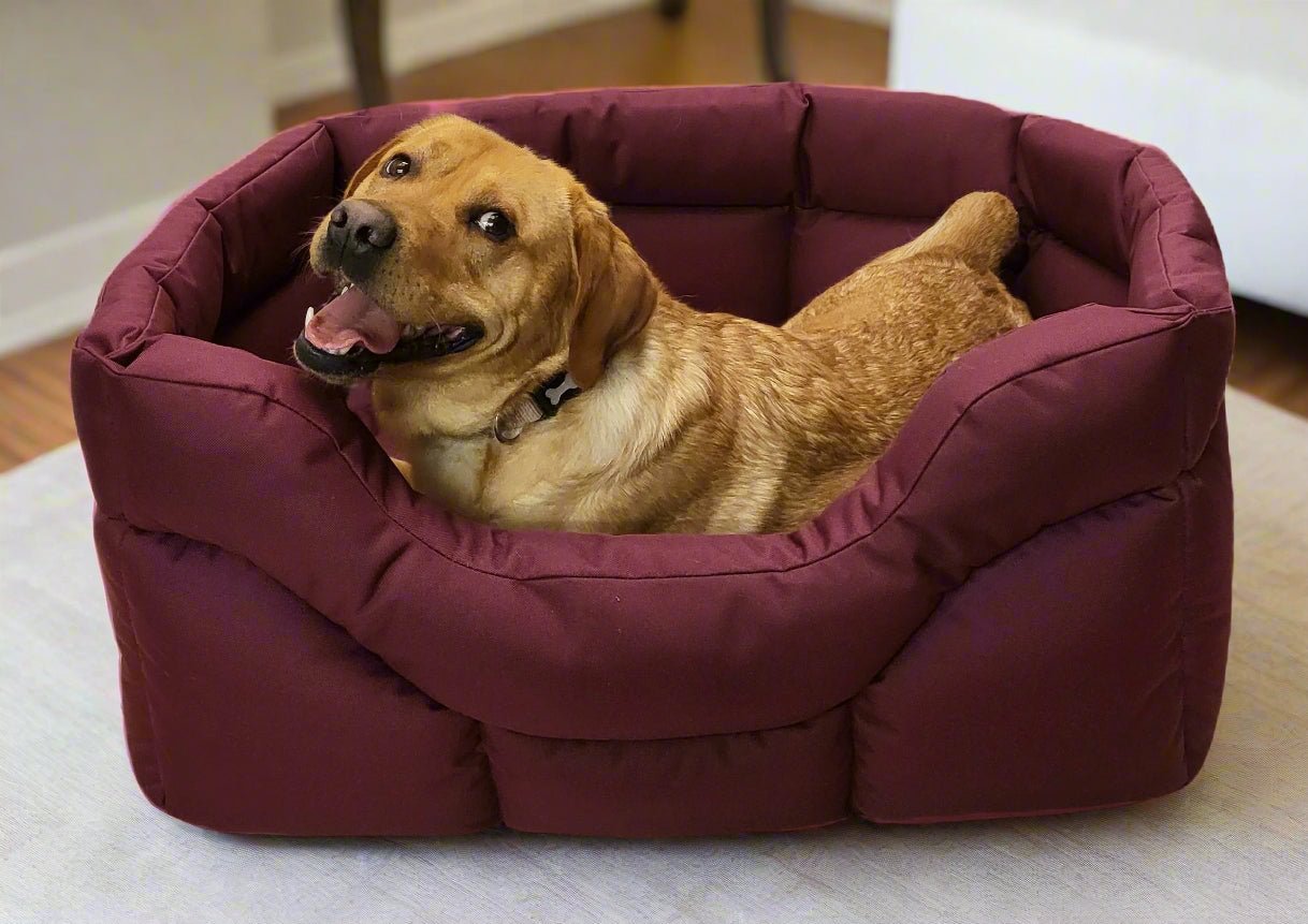 Country Dog Heavy Duty Rectangular High Sided Waterproof Dog Beds - Chartley Chucks