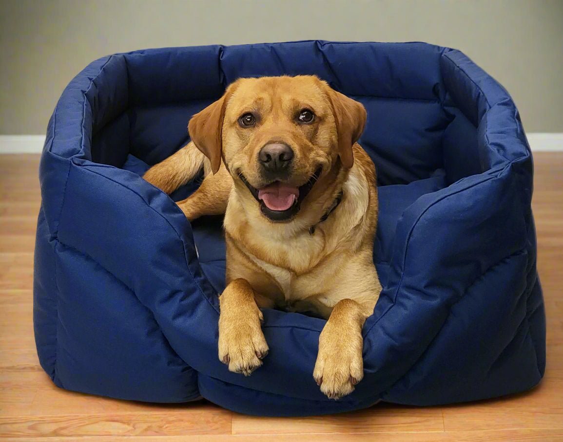 Country Dog Heavy Duty Rectangular High Sided Waterproof Dog Beds - Chartley Chucks