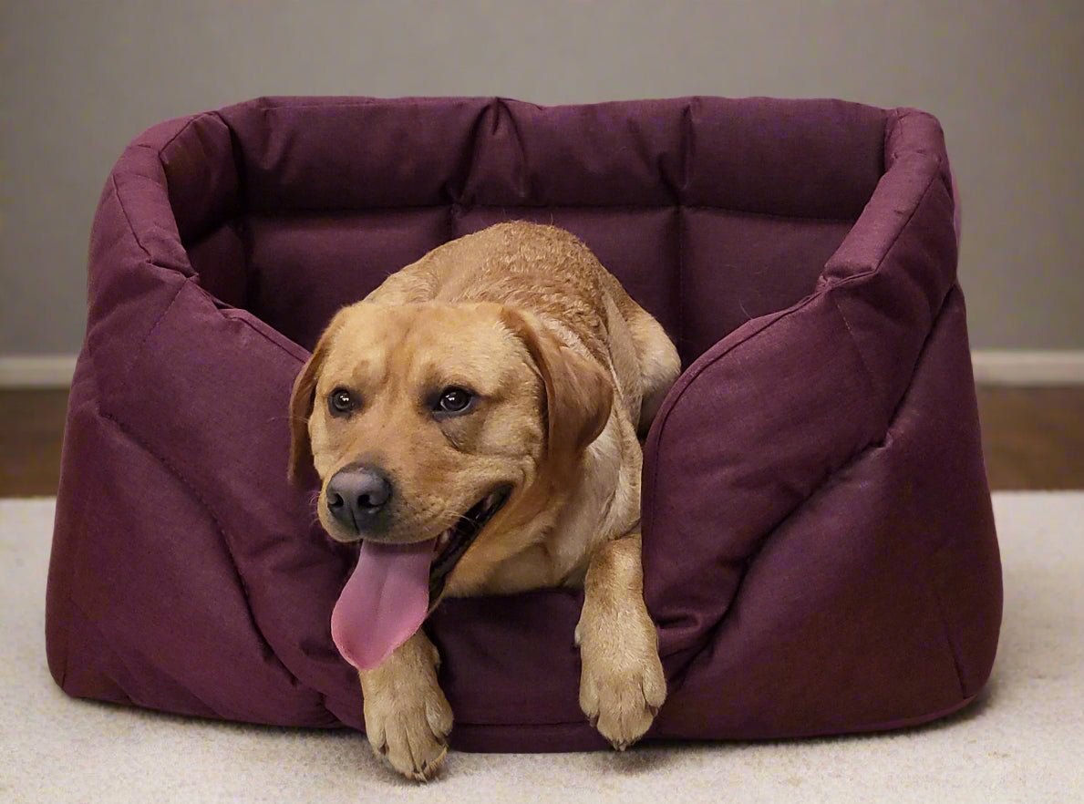 Country Dog Heavy Duty Rectangular High Sided Waterproof Dog Beds - Chartley Chucks