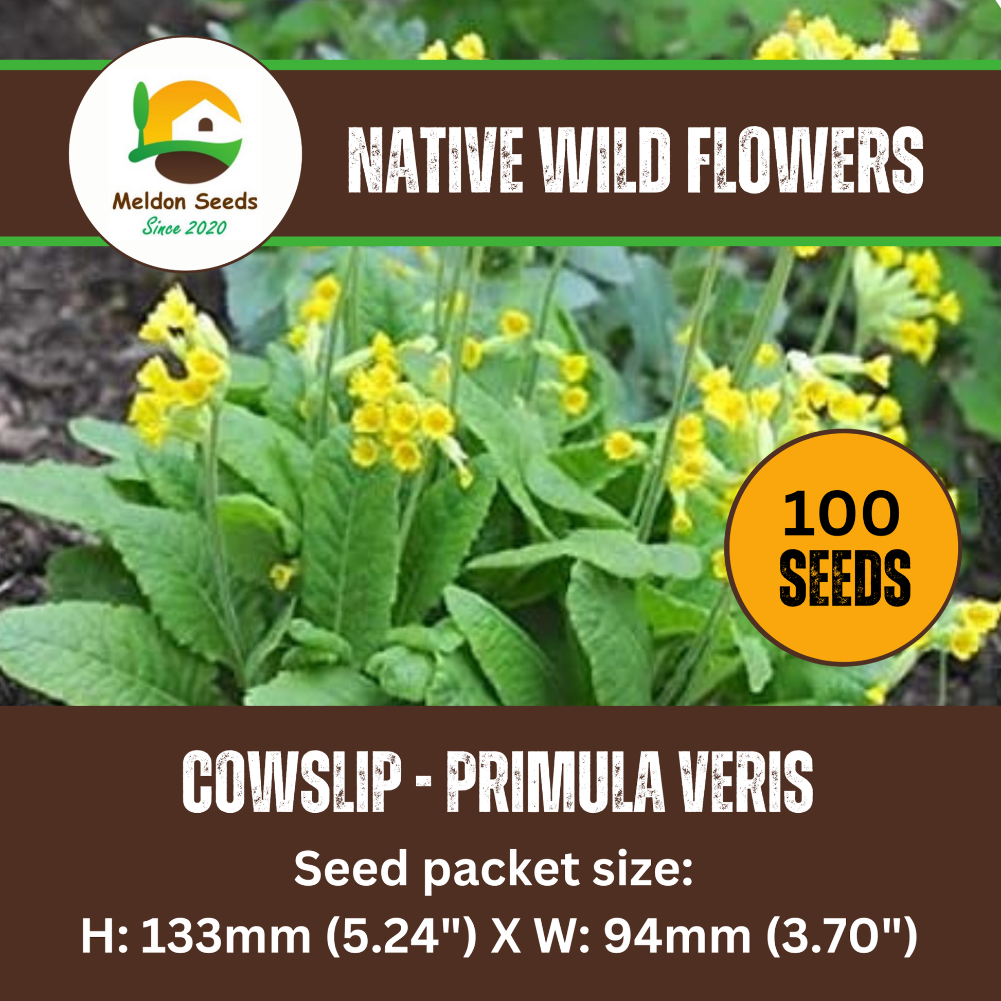 Cowslip Seeds - 100 Native UK Wild Flower Seeds for Attracting Birds, Bees, Wildlife, Pollinators, Suitable for Planting and Growing Outdoors in Meadows, Fields, Gardens and Borders by Meldon Seeds - Chartley Chucks