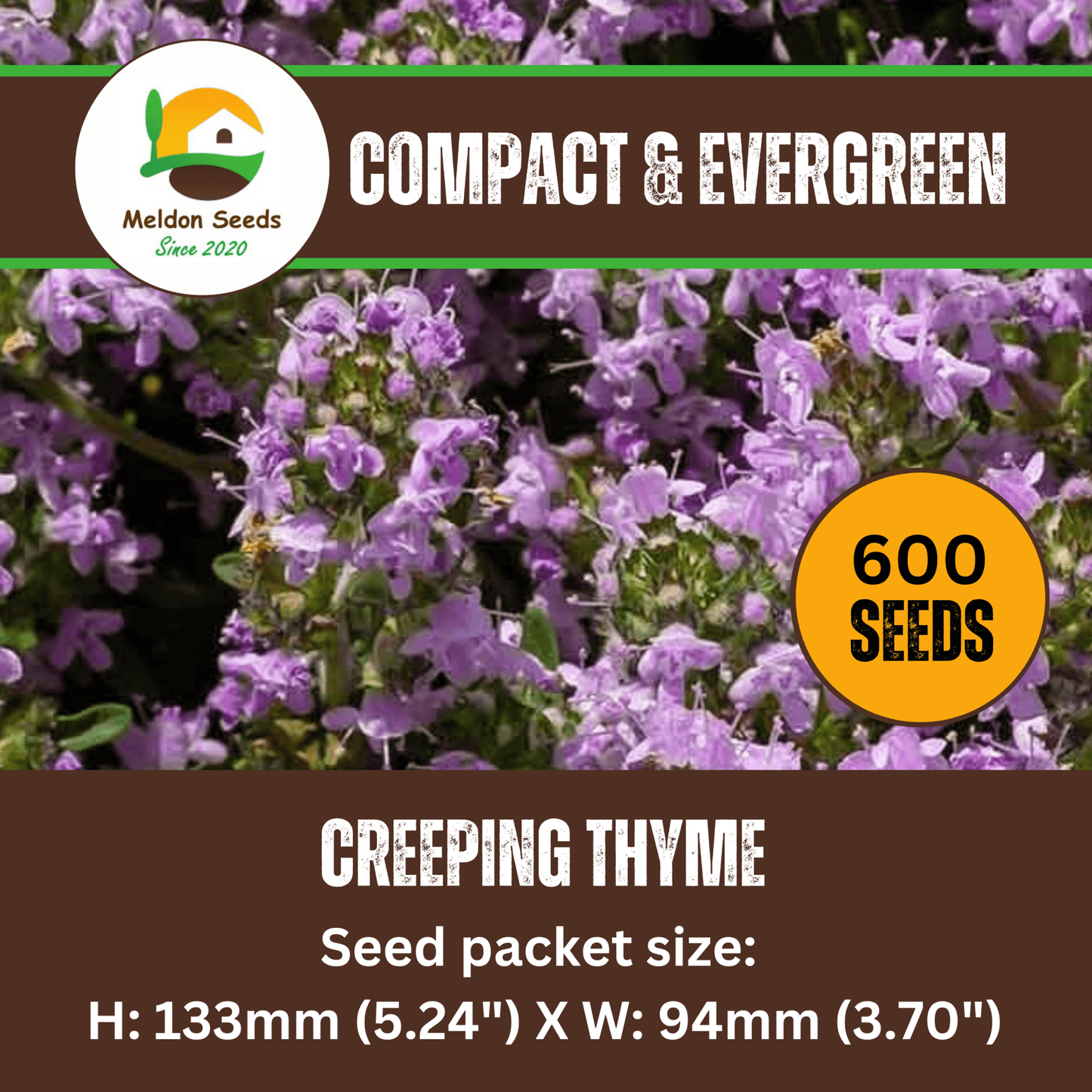 Creeping Thyme Seeds 450 Fresh Herb Seeds with Pink/Purple Flowers - Chartley Chucks