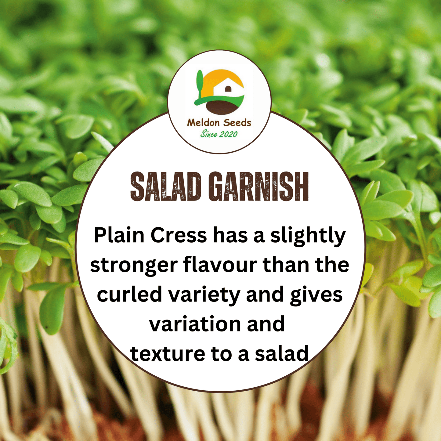 Cress Plain 2000 Seeds - Chartley Chucks