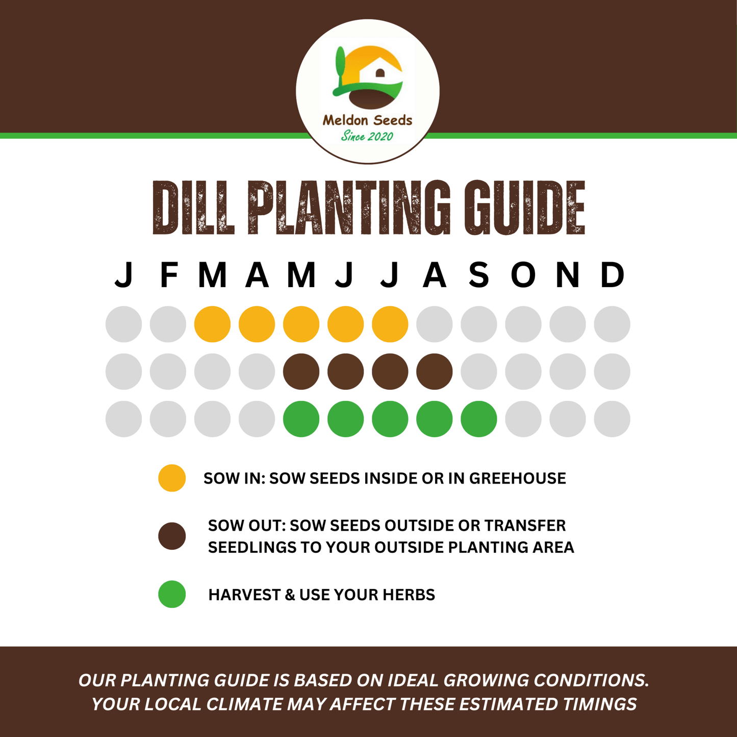 Dill Dukat 600 Seeds - Chartley Chucks