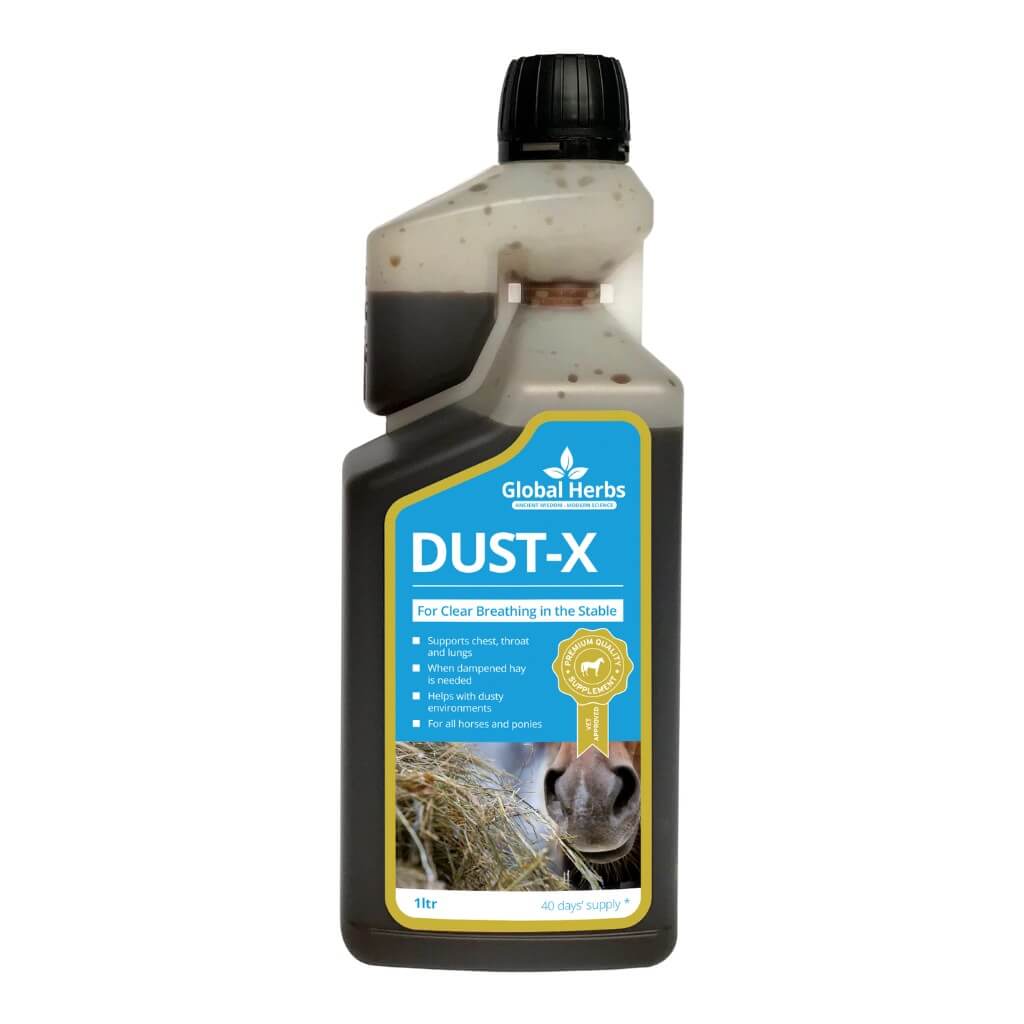 Dust - X - Equine - Chartley Chucks