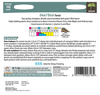 Dwarf French Bean Ferrari 100 Seeds - Chartley Chucks