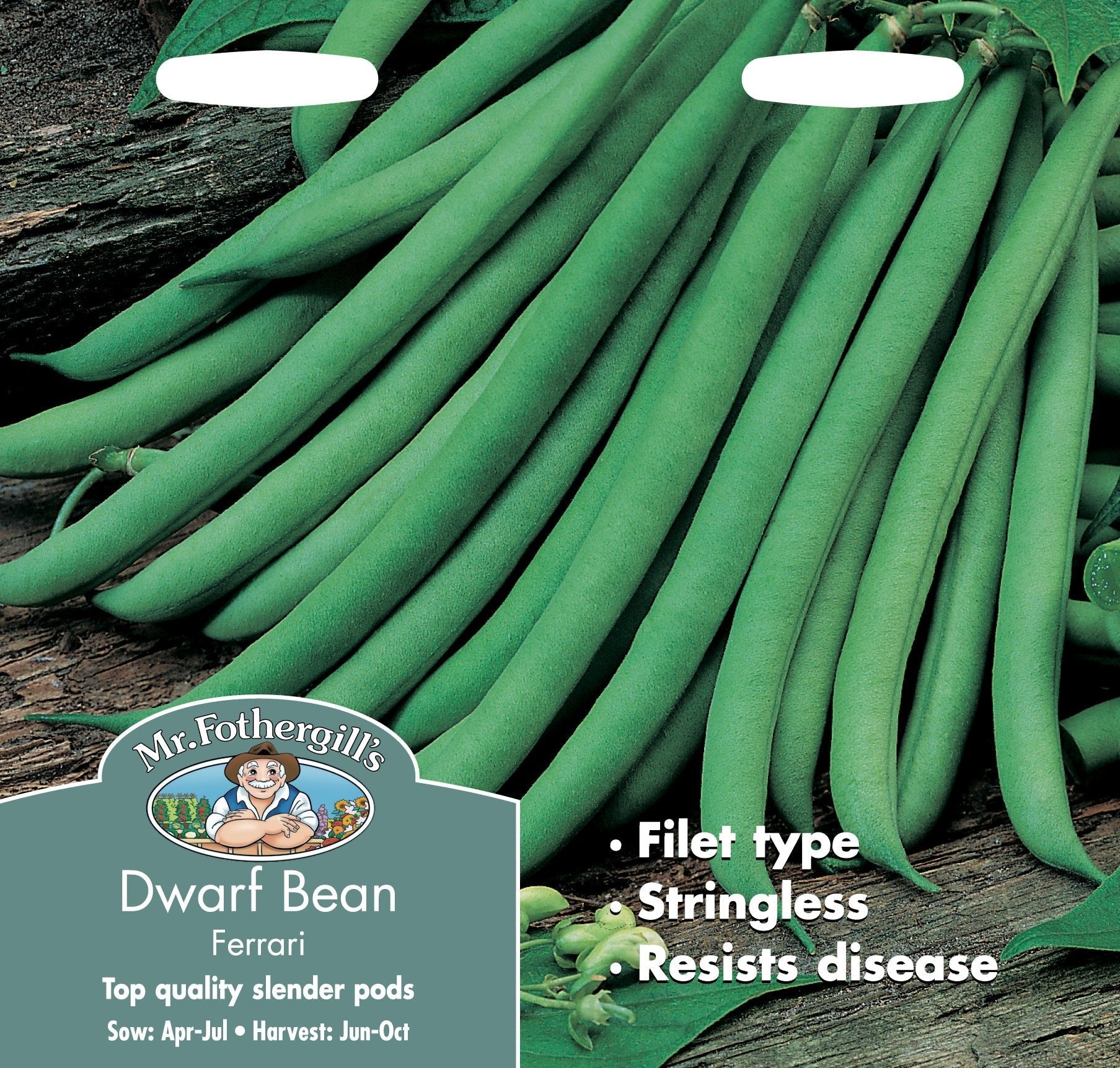 Dwarf French Bean Ferrari 100 Seeds - Chartley Chucks