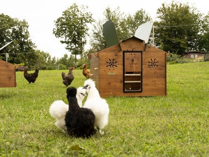 Easicoop Chalet 2XL - HPL Chicken Coop up to 10-15 large Birds - Chartley Chucks