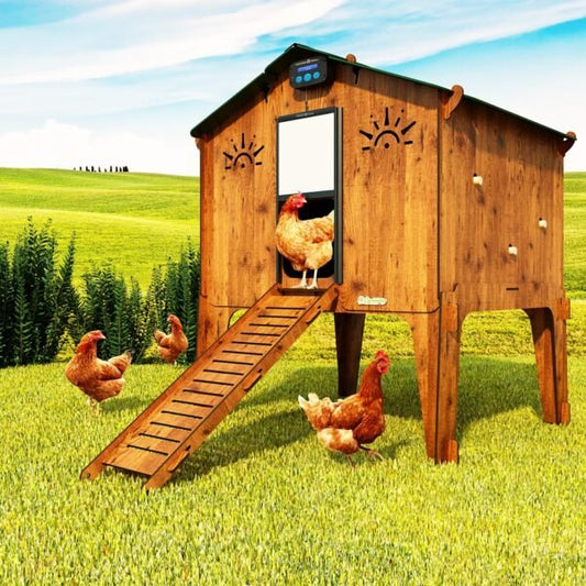 Easicoop Duplex 2XL - HPL Chicken house up to 18 large Birds - Chartley Chucks