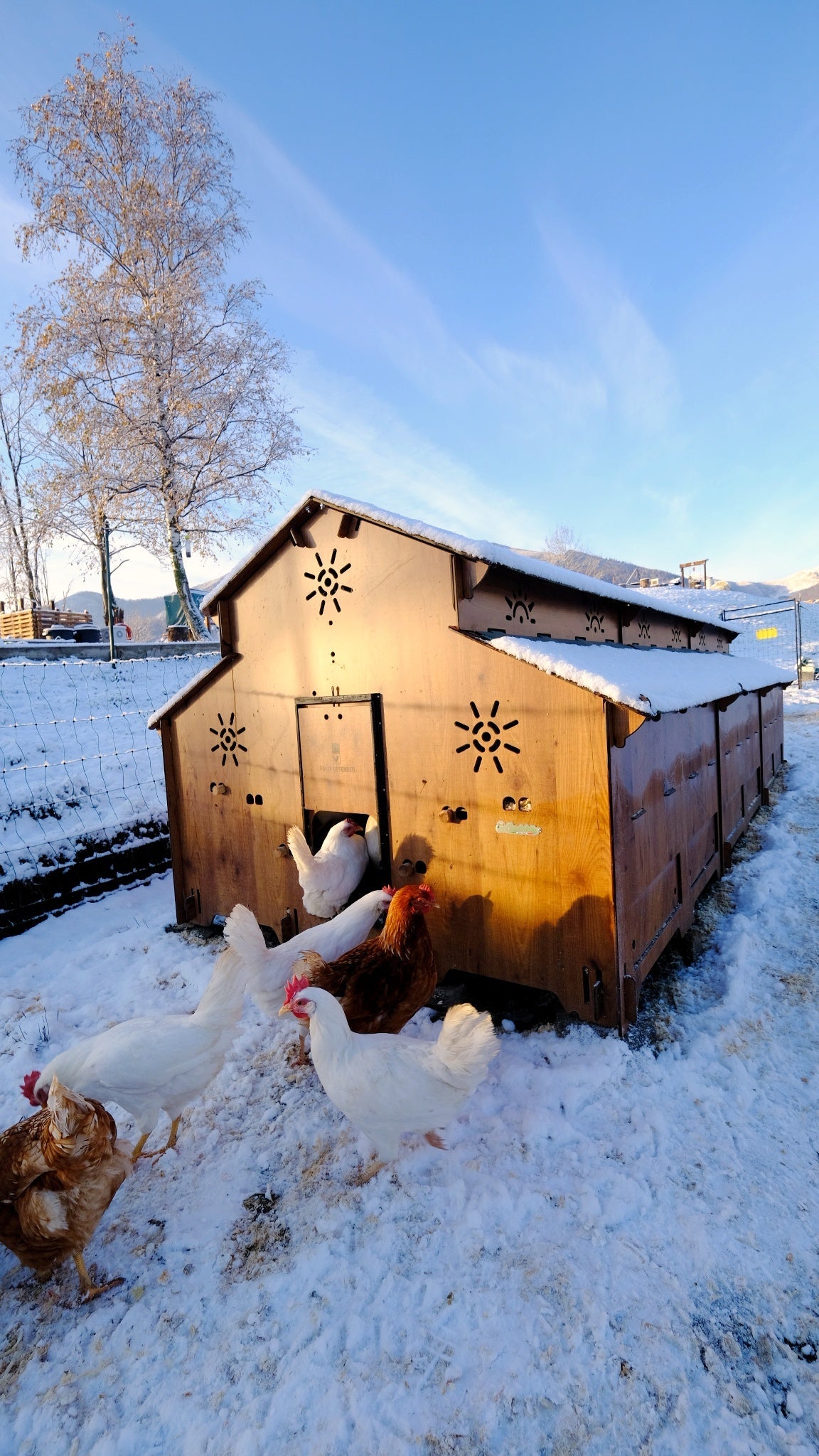 Easicoop Farm Plus 6XL modular expandable Chicken house 96 Large Birds - Chartley Chucks